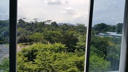 Pandan Valley (D21), Condominium #152674382